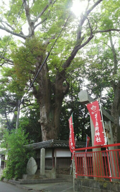 rblog-20161221142156-01.jpg