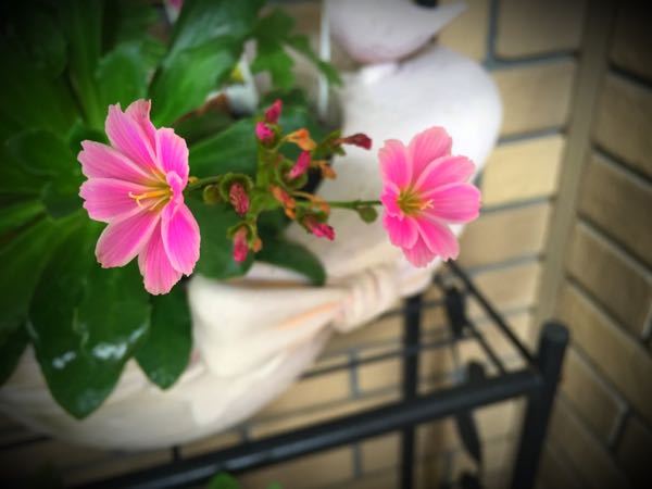 rblog-20160427175718-05.jpg