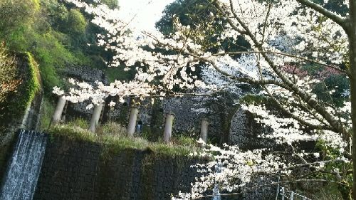 rblog-20180327154516-01.jpg