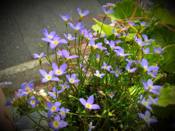 rblog-20150430203917-00.jpg