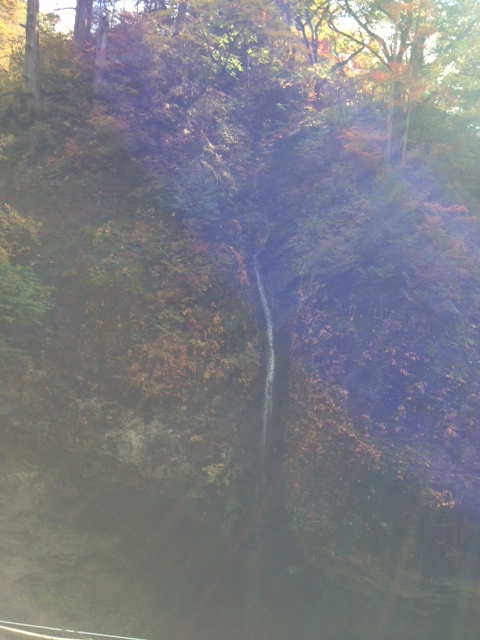 20121029harunajinjasandou.jpeg