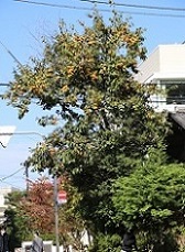 IMG_5094-4.jpg