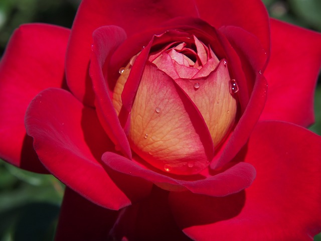 P5180041.jpg