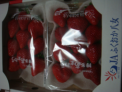 resize2386.jpg