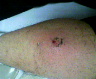 2013-02-15 10:45:26
