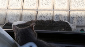 5DA_6702-15.jpg