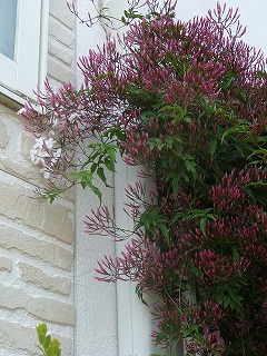 P1010919ss.jpg
