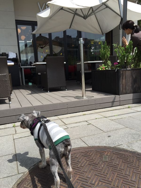 rblog-20160426011721-02.jpg