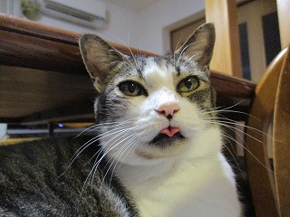 IMG_8045ss.jpg