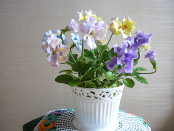 P1050869.JPG