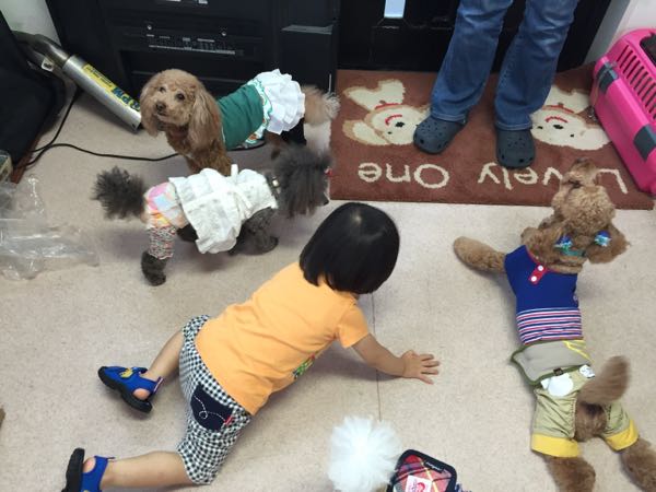 rblog-20150705222428-02.jpg