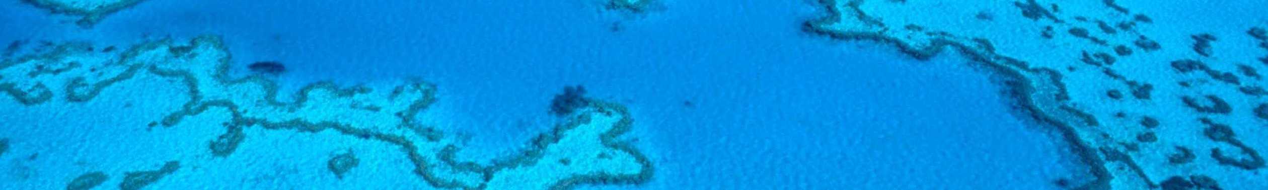 テロメアの日記