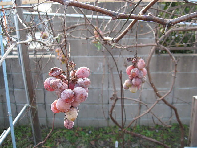 2012 8 20 001.JPG