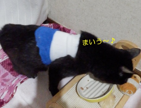 20151018_5.jpg
