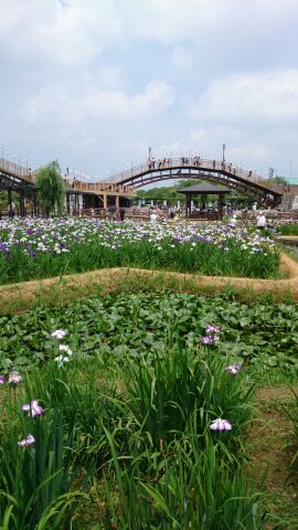 rblog-20140604182448-00.jpg