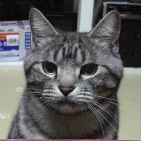 tsuyo.JPG