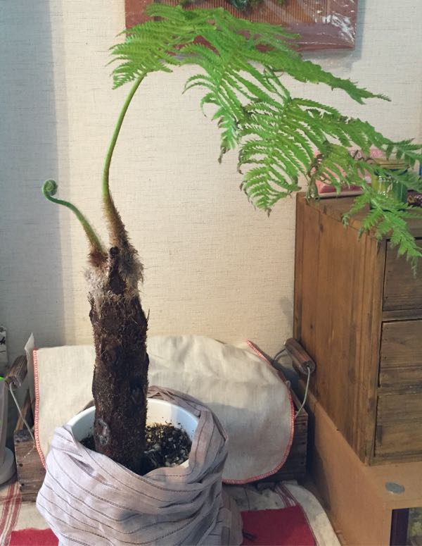 rblog-20160905131731-01.jpg