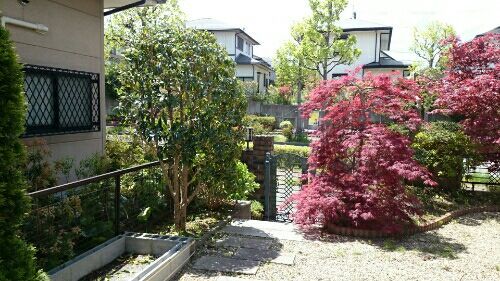 rblog-20170504191927-03.jpg