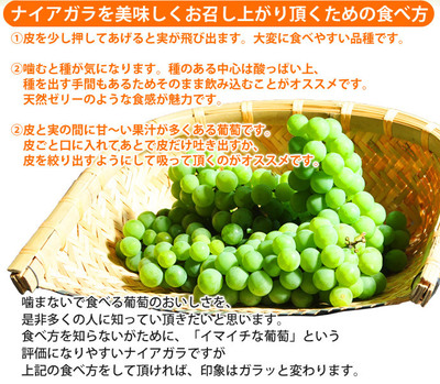 ナイヤガラ食べ方.jpg