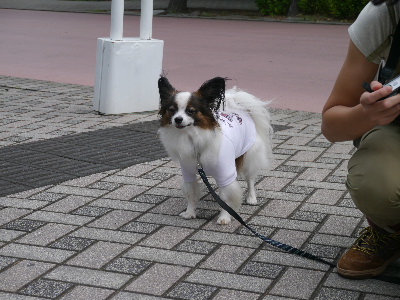 ２０１２八景島オフ会１５.JPG