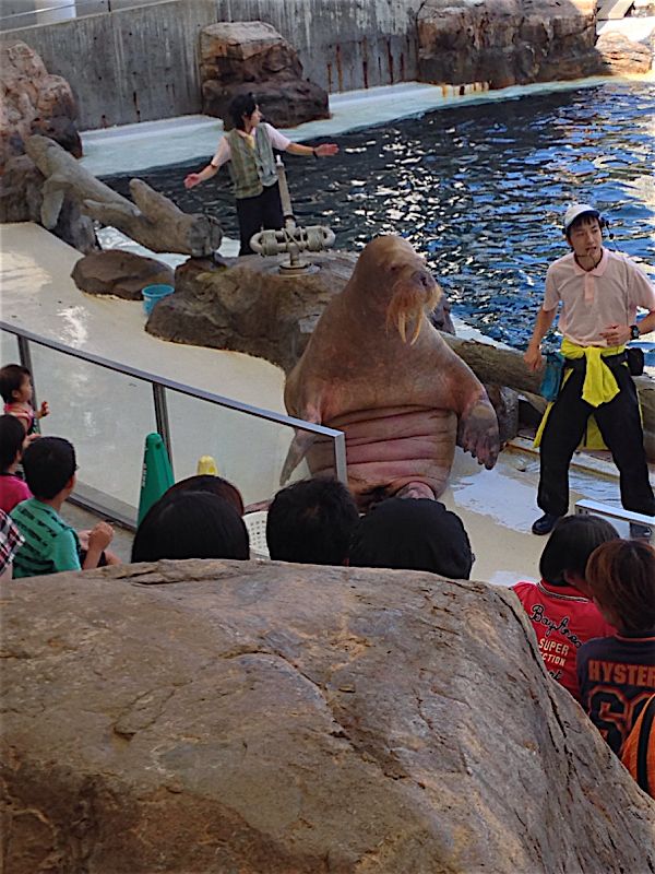 rblog-20140907194340-05.jpg