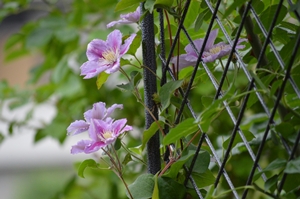2012年6月 010.jpg
