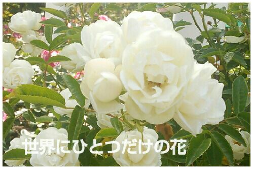 rblog-20160524195223-00.jpg
