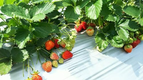 rblog-20180503131125-01.jpg