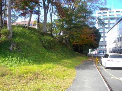 水戸城三の丸土塁 (500x375).jpg