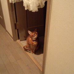３月１２日分 075.jpg