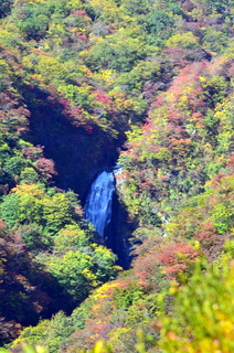 DSC_6886.JPG