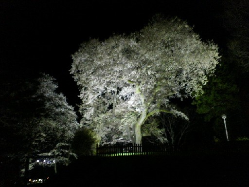 2013041420510000.jpg