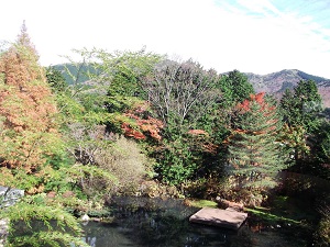 2箱根紅葉.jpg