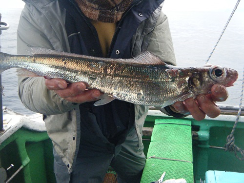 DSCF1815.JPG