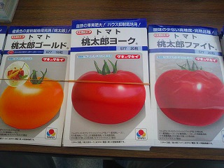 2012021111570001.jpg