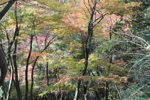 寺家公園