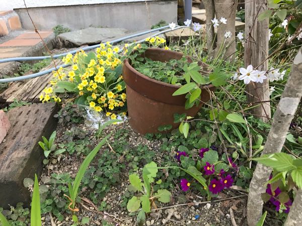 rblog-20180408181115-06.jpg