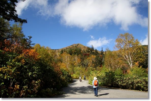 自然園まで-1 15.10.2