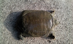 2013-03-02 16.22.44.jpg