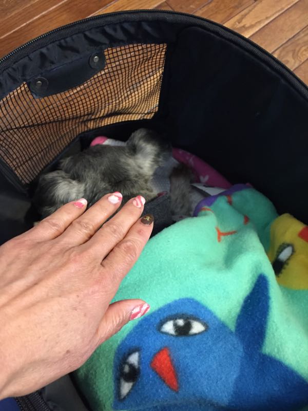 rblog-20160115004133-04.jpg