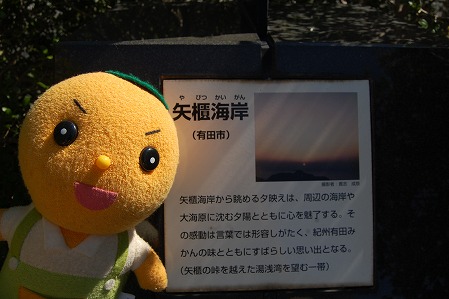 s-DSC_0452.jpg