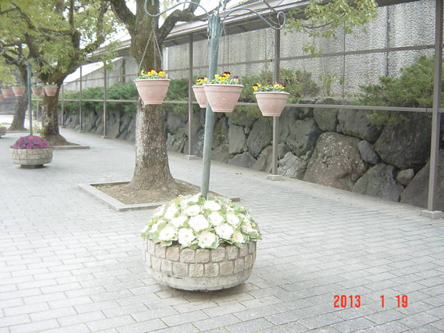 DSC00796.JPG