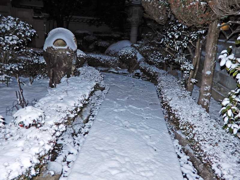 24日の雪3