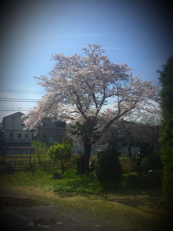 rblog-20160406131936-04.jpg