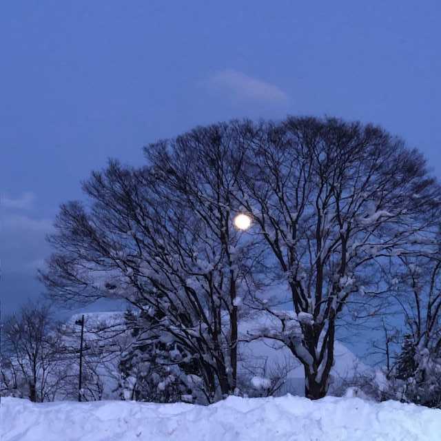 旧暦12月14日です 寒月が昇りました | Quiet-Sounds ~MILDSEVENTY~ - 楽天ブログ