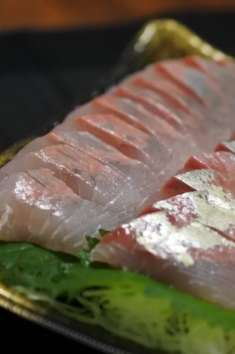 カンパチのお刺身