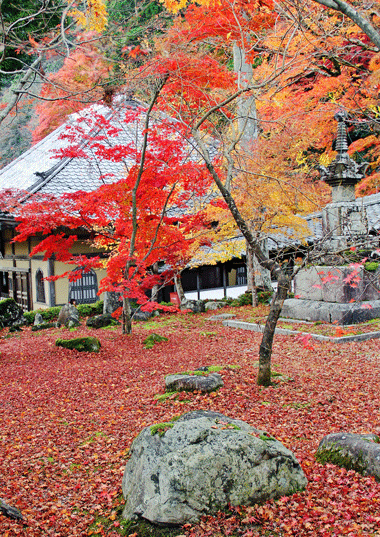 永源寺の冬紅葉 サカケンの写真俳句 楽天ブログ