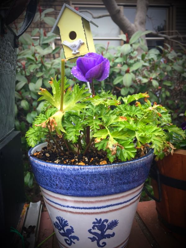 rblog-20150222132533-04.jpg