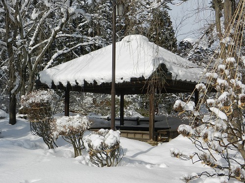 DSCN9716.jpg