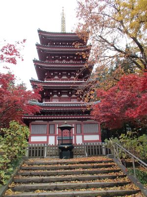 11.30 honndoji gojyuunotou.jpg